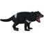 Loading Image 1 of 1