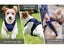 Dog Harness Quick Release NZ Clearance Carousel 6