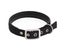 Dog Leash NZ Clearance Carousel 7