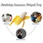 Brand New 2Pack Squishy Fidget Toy Banana Soft Stress Relief *Clearance* Carousel 9