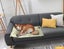 Pawz Pet Cooling Mat Gel Bed Pillow Sofa Self-cool Summer Avocado S M L XL Carousel 9