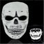 Scary Skull Skeleton Full Face Mask Carnival Costume Ghost Party Resin Masks Carousel 3