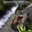 Trail Camera 36MP 1080P 120 Detection Range IP66 Waterproof-2209202 Carousel 5