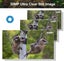 Trail Camera 36MP 1080P 120 Detection Range IP66 Waterproof-2209202 Carousel 9