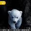 Trail Camera 36MP 1080P 120 Detection Range IP66 Waterproof-2209202 Carousel 17