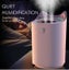 3L Air Humidifier Mist Aroma Diffuser with Colorful LED Light USB Humidificador Carousel 5