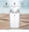 3L Air Humidifier Mist Aroma Diffuser with Colorful LED Light USB Humidificador Carousel 8
