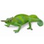 Loading Image 1 of 1