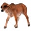 Loading Image 1 of 1