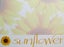 Pop up Flower Cards (each different) x 4. Unique designs Carousel 5