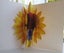 Pop up Flower Cards (each different) x 4. Unique designs Carousel 6