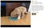 Brand New Large Dog Food Bowl Slow Feeder 32cm *Sale NOW* Carousel 2