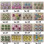 Scrapbooking embellishments multi packs Carousel 14