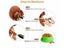 Professional Dog Clippers Cordless NZ Clearance Carousel 4