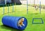 Dog Agility Training Exercise Equipment Set Carousel 2