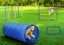 Dog Agility Training Exercise Equipment Set Carousel 3
