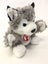 Husky Hand Puppet / Husky Plush Carousel 3