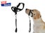 Dog Head Collar NZ Clearance Carousel 1