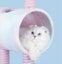 Cat Tree Tunnel Play Tree House-Unicorn Carousel 5