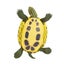 Loading Image 2 of 5