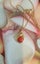 18ct yellow gold Coral pendant and chain. Carousel 1