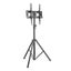 Tilting TV Mount with Portable Tripod Stand Carousel 1