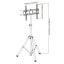 Tilting TV Mount with Portable Tripod Stand Carousel 2