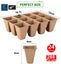 Peat Pots Seed Starter planter box Tray *Over Stocked* Carousel 14
