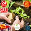 Peat Pots Seed Starter planter box Tray *Over Stocked* Carousel 15