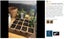 Peat Pots Seed Starter planter box Tray *Over Stocked* Carousel 5