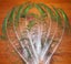 Feathergirl: Complete Peacock Tail $1 Reserve Carousel 6