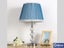 TS107 Blue Fabric Silk Lamp Shade,E27 Base Carousel 2