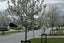 gallery view thumbnail