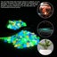 Deago 300Pcs Glow in The Dark Stones Garden Luminous Pebbles Stone Rocks for Ind Carousel 6