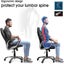 Brand New Computer Chair Seat Cushion Back Cushion Mesh *Sale NOW* Carousel 9
