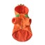 Pumpkin Dog Cat Costume Halloween Cosplay for Autumn Winter Carousel 5