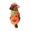 Pumpkin Dog Cat Costume Halloween Cosplay for Autumn Winter Carousel 6