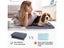 PTN NEW Dog Toilet Dog Pee Pad Sale Sale Carousel 3