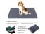 PTN NEW Dog Toilet Dog Pee Pad Sale Sale Carousel 7