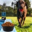 Brand New 2Pack Dog Food Water Bowls Bottle Portable Traveling*Hot SALE Carousel 15