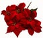 Poinsettia Bush - Large (Red) Carousel 1