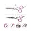 Dog Grooming Scissors - (NZ Clearance) Carousel 3