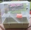 RAT CAGE Carousel 4