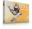 Wingspan: Oceania Expansion Carousel 1