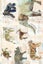 20 Card Collection and Envelopes: ENDANGERED, 4 Designs Carousel 3