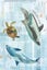 20 Card Collection and Envelopes: ENDANGERED, 4 Designs Carousel 4