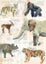 12 Cards and Envelopes: ENDANGERED, 4 Designs Carousel 3