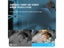 WiFi Security Camera Carousel 5