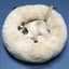 70X70cm Soft Fluffy Pet Dog Cat Round Bed Cushion Tie Dye Cream Pet Beds HOD He Carousel 3