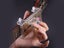 PTN New Guitar Learning Tool for Beginners Sale Sale Sale Carousel 3